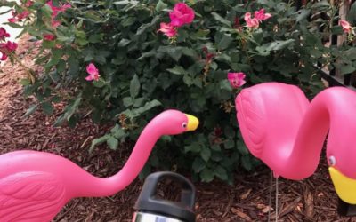 Simple Modern has Simplified Your Hydration