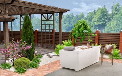 Your Wellness Journey Shortcut – Oxygen Beauty Spa