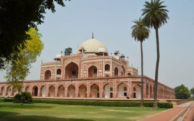 Top 5 Things to Do in Delhi