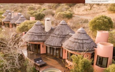 Where to have the Ultimate Spa & Safari Experience