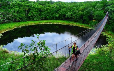 Get Out of Your Comfort Zone