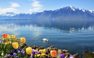 7 Things You Need to Know Before Traveling to Switzerland