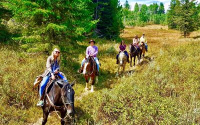 Family Time – All Together Now Streaming Media