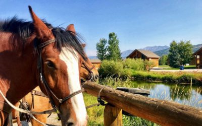 How to Plan a Glorious Day of Horseback Riding
