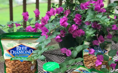 My Road Trip Essentials