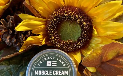 This CBD Muscle Cream WORKS!