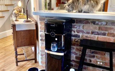 REsolve to REfill this Spring with Primo Water