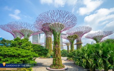6 Majestic Tourist Attractions in Singapore You Can’t Miss