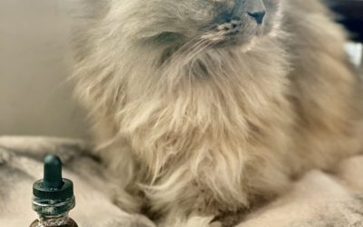 How to Sleep Better Naturally