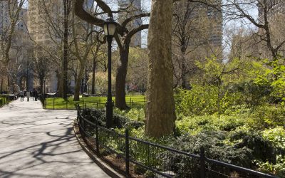 A Guide to New York’s Most Luxurious Spots