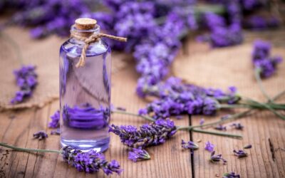 Wellness Tips from Grand Velas Magazine