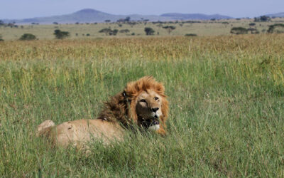 Top Travel Destinations To Consider Next