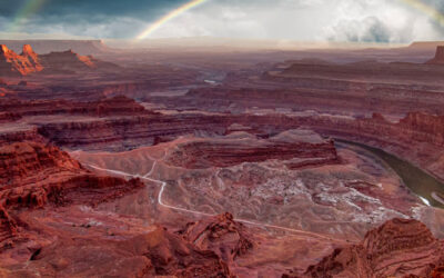 Planning on Touring The US With Family; Here’s What You Need to Know