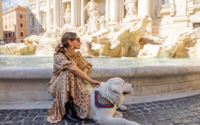 New Roman Pooch Package Pampers Pets at Sofitel Rome Villa Borghese