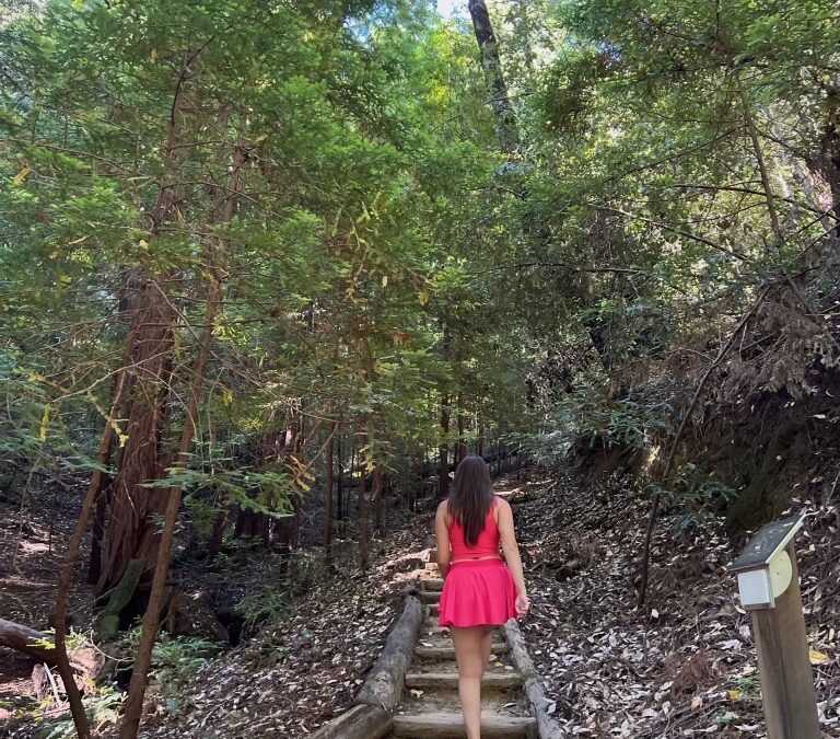 The Wellness Benefits of a Walking Holiday