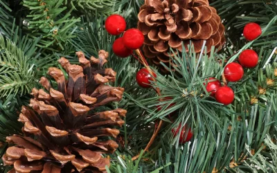 It is Time to Decorate for the Holidays with Sunnydaze